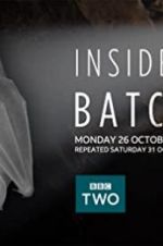 Watch Inside the Bat Cave M4ufree