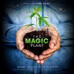 Watch The Magic Plant M4ufree