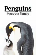 Watch Penguins: Meet the Family M4ufree