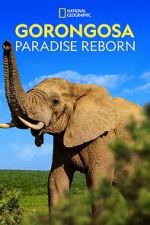 Watch Gorongosa: Paradise Reborn (Short 2022) M4ufree