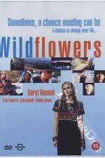 Watch Wildflowers M4ufree