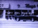Watch Spy on the Fly (Short 1967) M4ufree