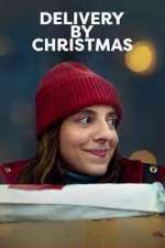 Watch Delivery by Christmas M4ufree