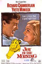 Watch Joy in the Morning M4ufree