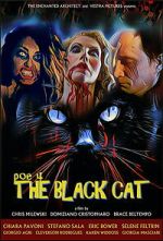Watch POE 4: The Black Cat M4ufree