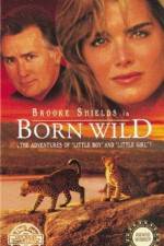 Watch De jagade M4ufree