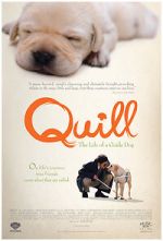 Watch Quill: The Life of a Guide Dog M4ufree