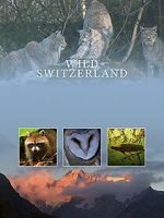 Watch Wilde Schweiz M4ufree