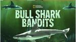 Watch Bull Shark Bandits M4ufree