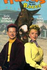 Watch Francis Goes to the Races M4ufree