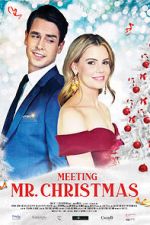Watch Meeting Mr. Christmas M4ufree