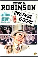 Watch Brother Orchid M4ufree