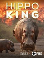 Watch Hippo King M4ufree