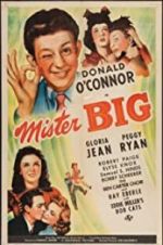 Watch Mister Big M4ufree