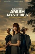 Watch Sugarcreek Amish Mysteries: Blessings in Disguise M4ufree