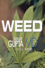 Watch CNN Weed Sanjay Gupta Report M4ufree