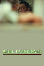 Watch Work Experience M4ufree