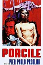 Watch Porcile M4ufree