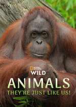 Watch Animals, They\'re Just Like Us! M4ufree