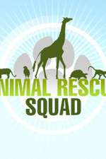 Watch Animal Rescue Squad M4ufree