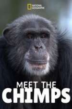 Watch Meet the Chimps M4ufree