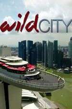 Watch Wild City M4ufree