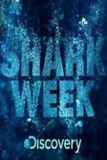 Watch Shark Week M4ufree