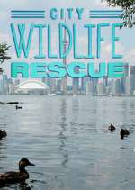 Watch City Wildlife Rescue M4ufree