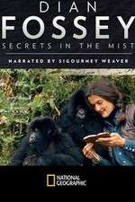 Watch Dian Fossey: Secrets in the Mist M4ufree