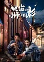 Watch The Lion's Secret M4ufree