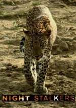 Watch Night Stalkers M4ufree