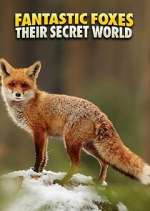 Watch Fantastic Foxes: Their Secret World M4ufree