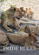 Watch Pride Rules M4ufree