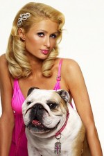 Watch Paris Hilton's British Best Friend M4ufree
