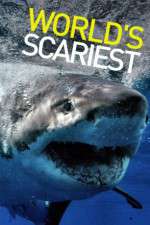 Watch World's Scariest... M4ufree