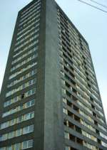 Watch High Times M4ufree