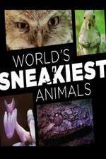 Watch World's Sneakiest Animals M4ufree