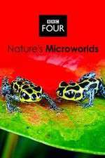 Watch Natures Microworlds M4ufree