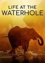 Watch Life at the Waterhole M4ufree