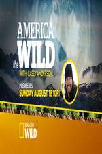 Watch America the Wild M4ufree