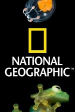 Watch Nat Geo Amazing! M4ufree