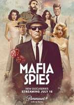 Watch Mafia Spies M4ufree