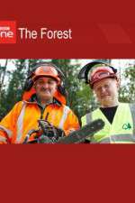 Watch The Forest M4ufree