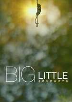 Watch Big Little Journeys M4ufree