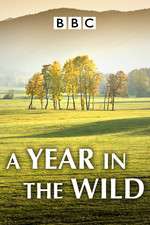 Watch A Year in the Wild M4ufree
