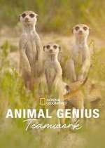 Watch Animal Genius M4ufree