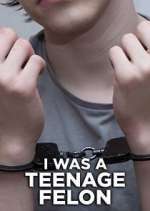 Watch I Was a Teenage Felon M4ufree