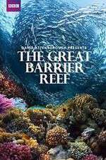 Watch Great Barrier Reef with David Attenborough M4ufree