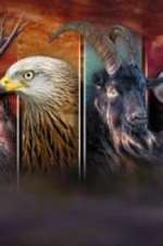 Watch Wales: Land of the Wild M4ufree