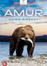 Watch Amur Asia's Amazon M4ufree